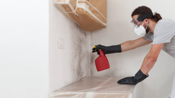 Professional Mold Inspection And Testing technician working in Wyckoff, NJ